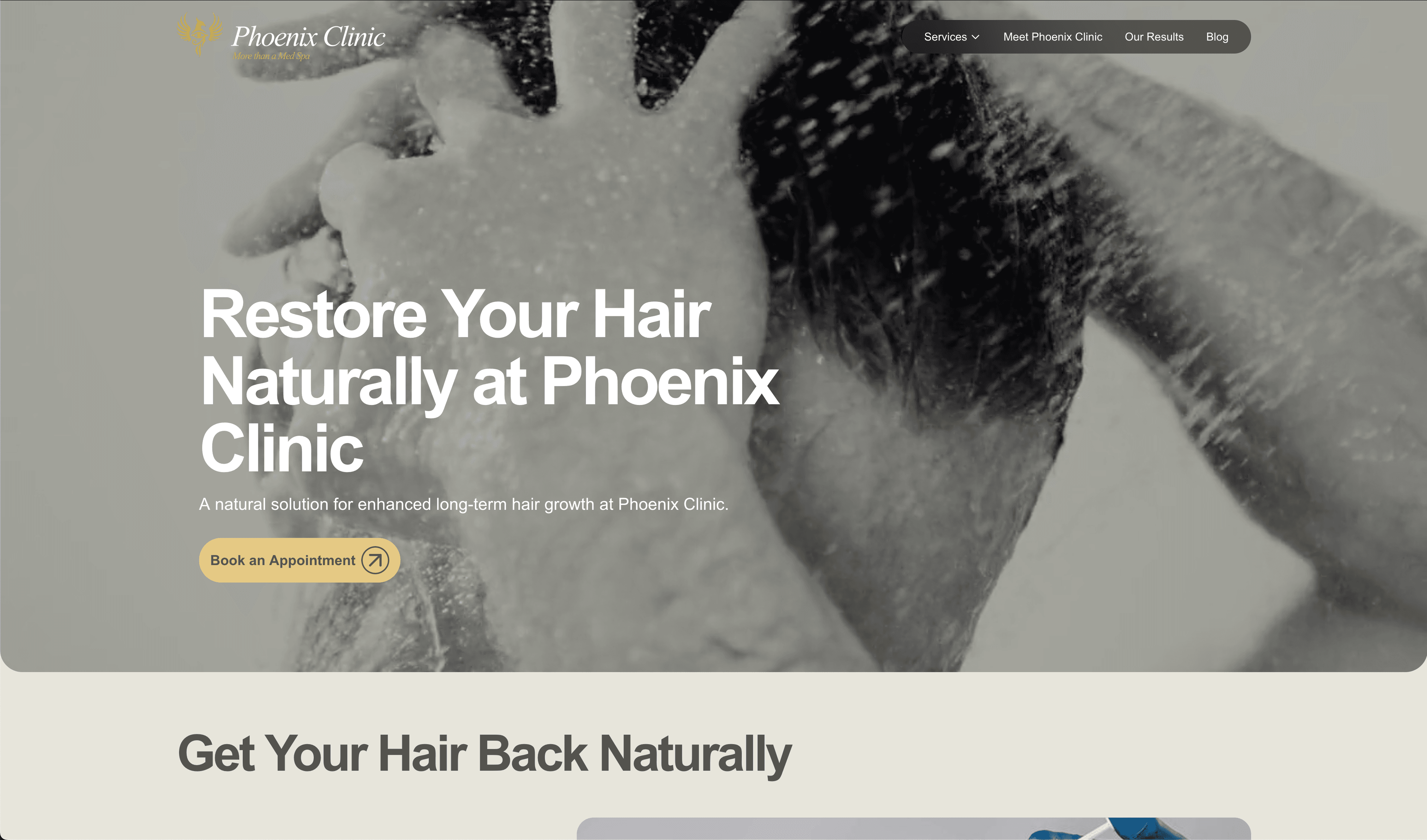 Phoenix Clinic screenshot